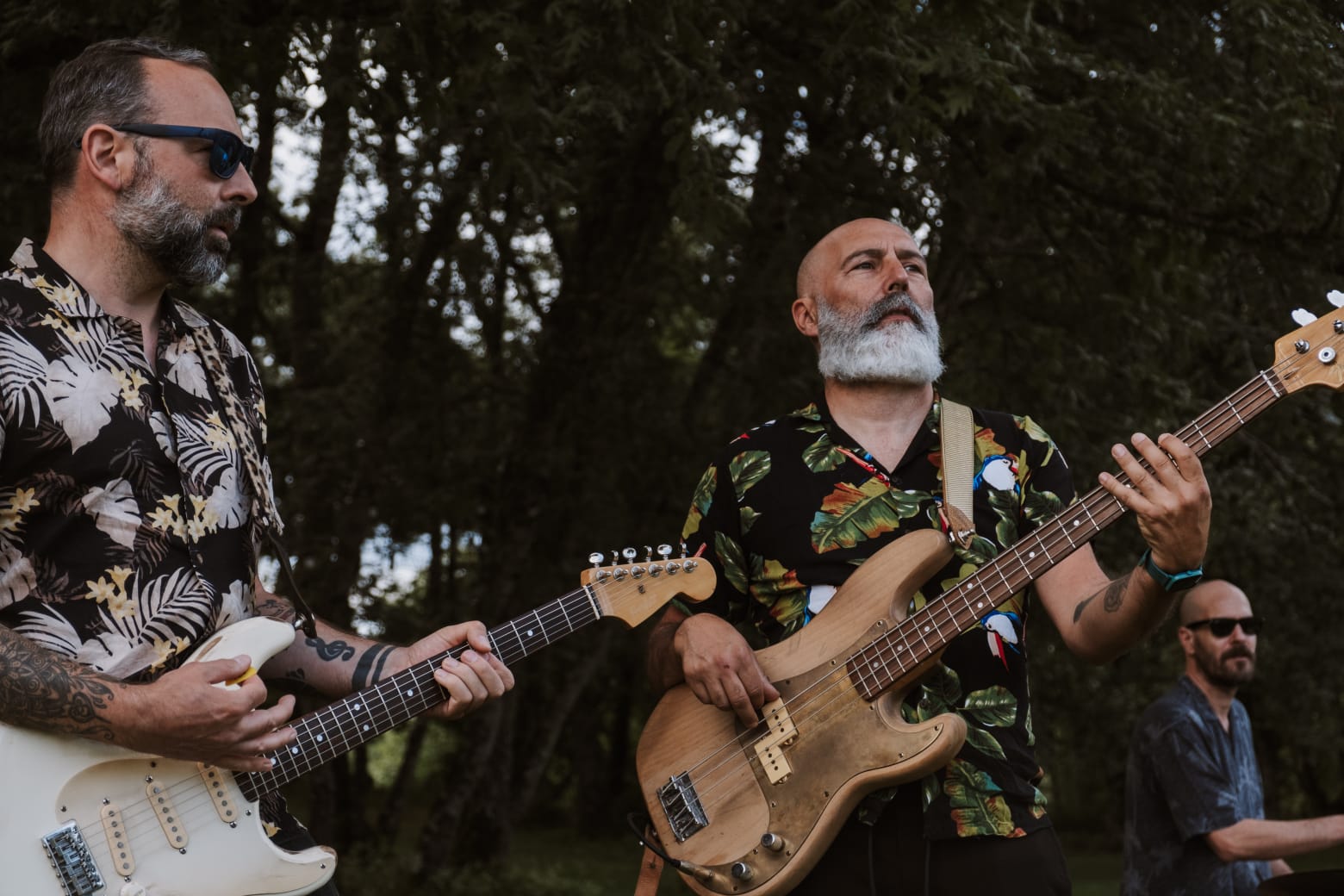 Guitarrista de Monk Blues Band